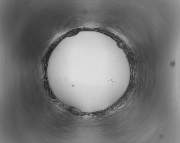 X0000116891160201001121337