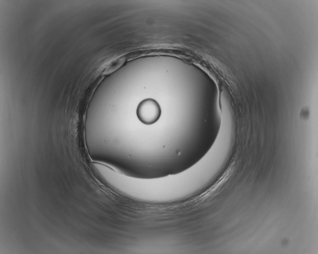 X0000116891161201001121337