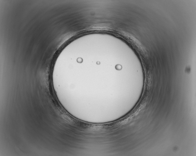 X0000116891162201001121337