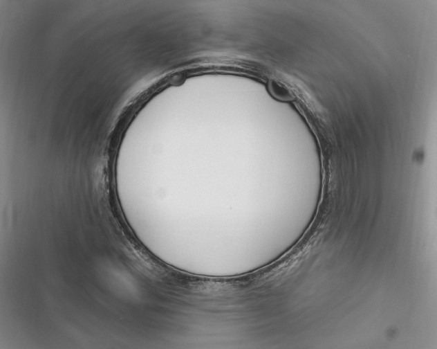 X0000116891164201001121337