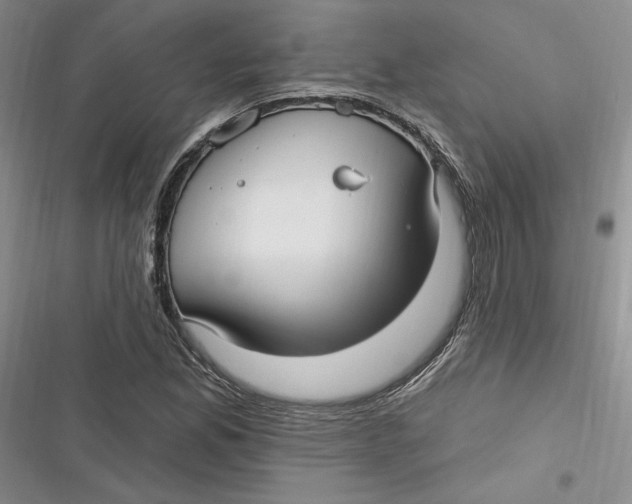 X0000116891165201001121337