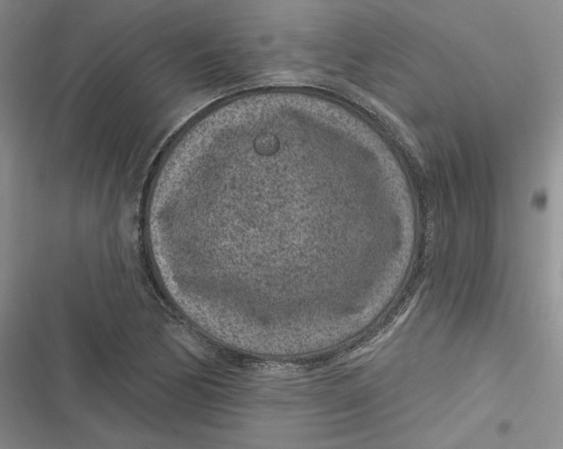 X0000116891170201001121337