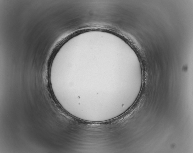 X0000116891172201001121337