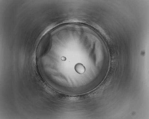 X0000116891173201001121337