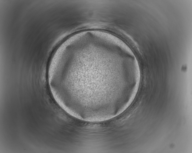 X0000116891174201001121337