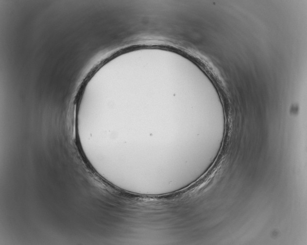 X0000116891175201001121337