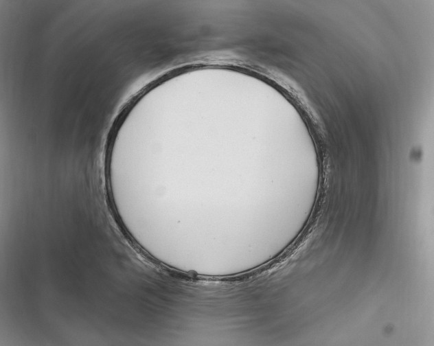 X0000116891176201001121337