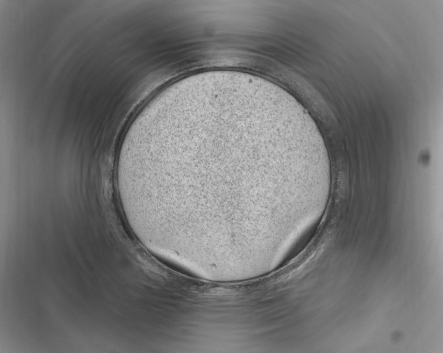 X0000116891178201001121337