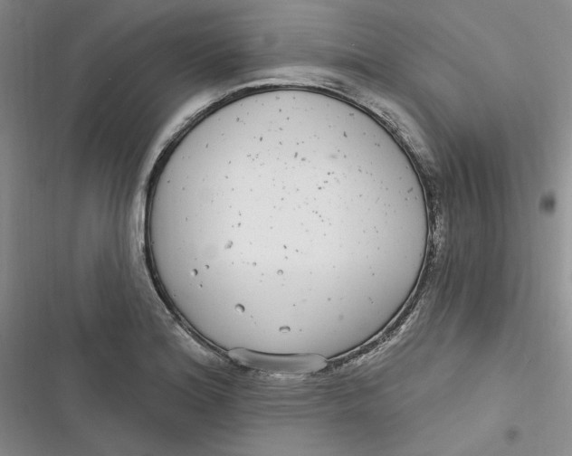 X0000116891180201001121337