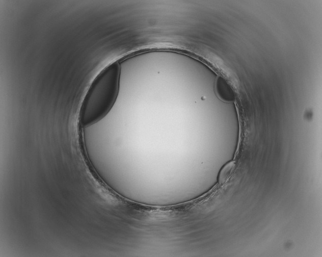 X0000116891181201001121337