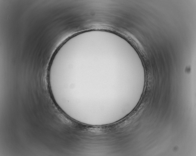 X0000116891182201001121337