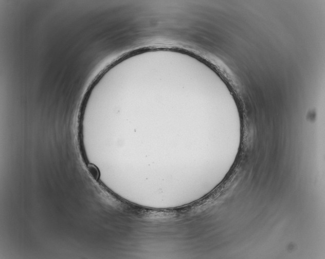 X0000116891183201001121337