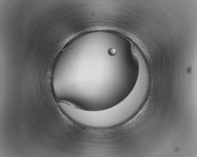 X0000116891185201001121337