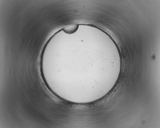 X0000116891187201001121337