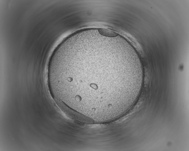 X0000116891188201001121337