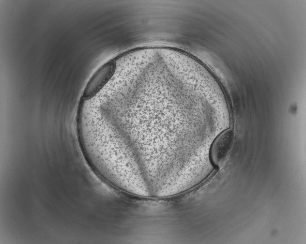 X0000116891189201001121337