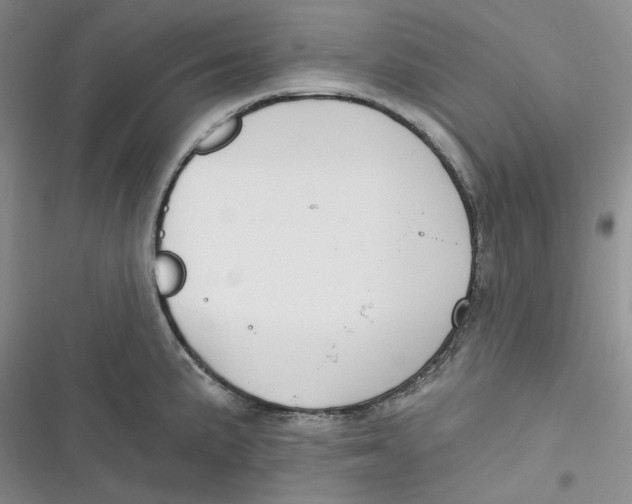 X0000116891191201001121337