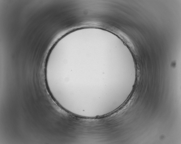 X0000116891192201001121337