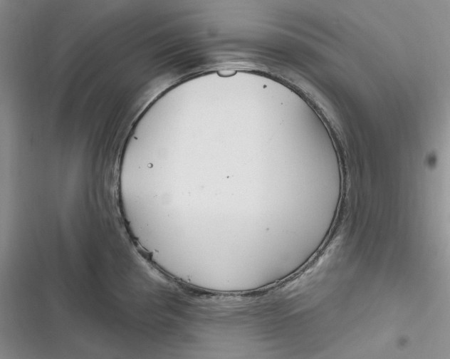 X0000116891193201001121337