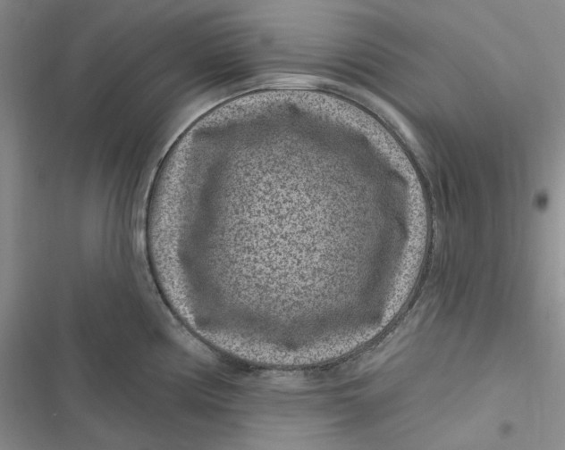 X0000116891194201001121337