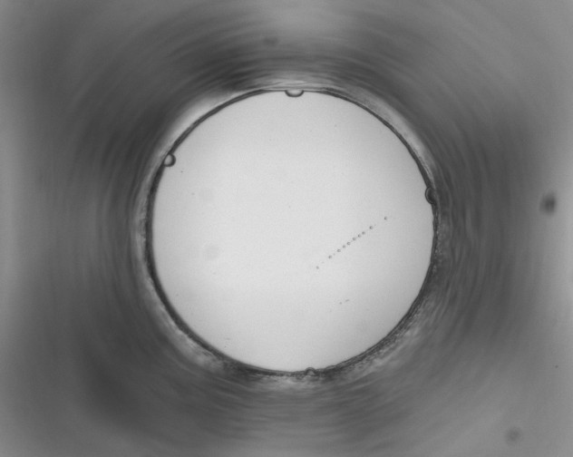 X0000116891195201001121337