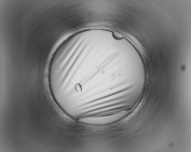 X0000116891196201001121337