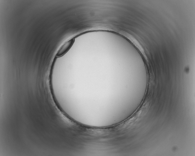 X0000116891197201001121337