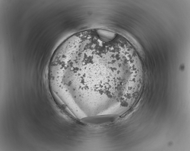 X0000116891198201001121337