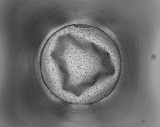 X0000116891200201001121337