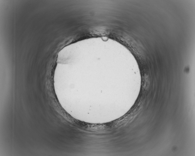 X0000116891201201001121336