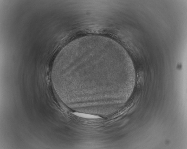 X0000116891202201001121336