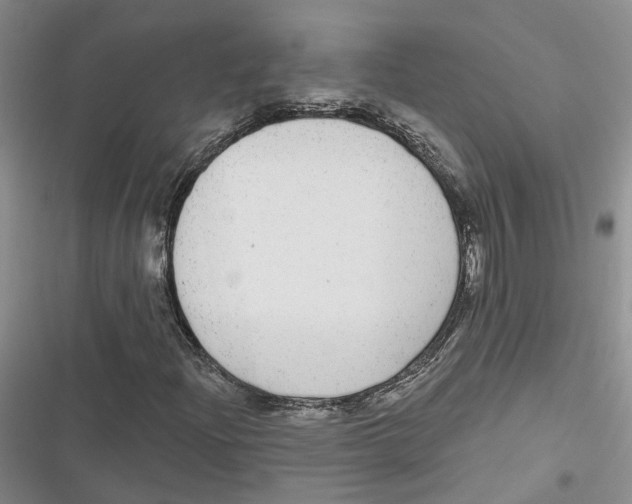 X0000116891204201001121336