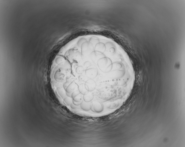 X0000116891205201001121336