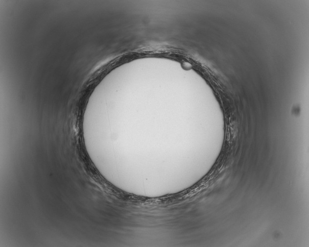X0000116891206201001121336