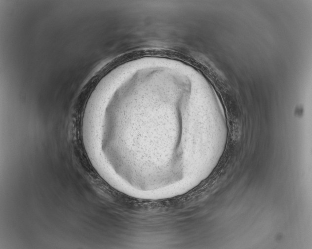 X0000116891208201001121336