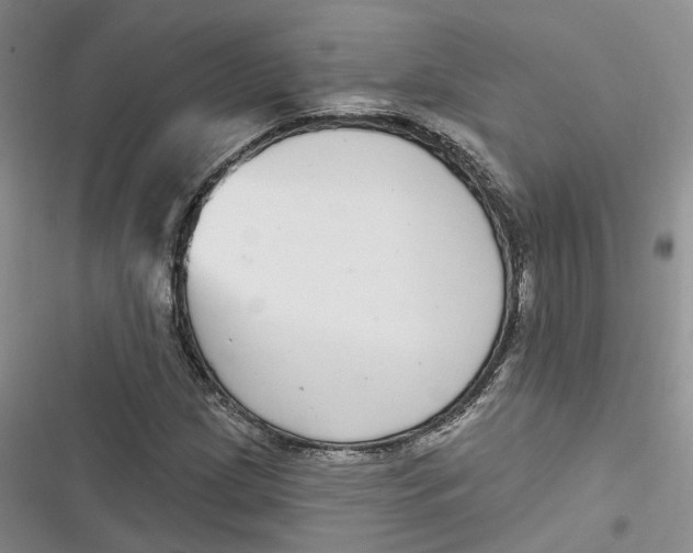 X0000116891209201001121336