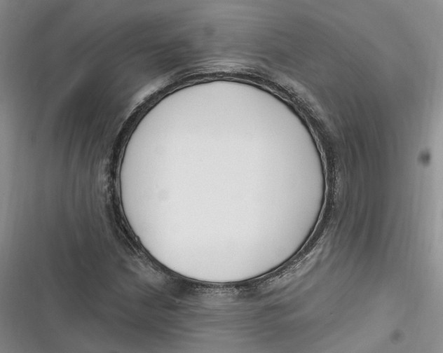 X0000116891210201001121336