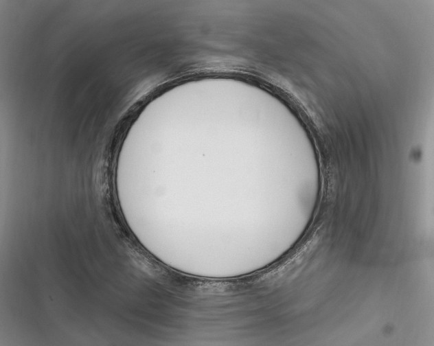 X0000116891211201001121336