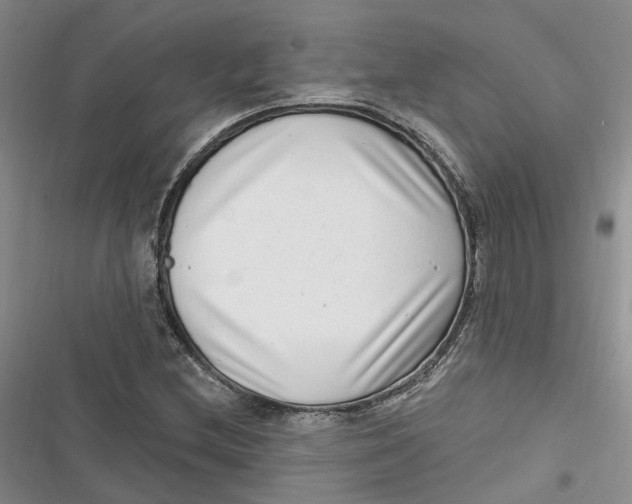 X0000116891212201001121336