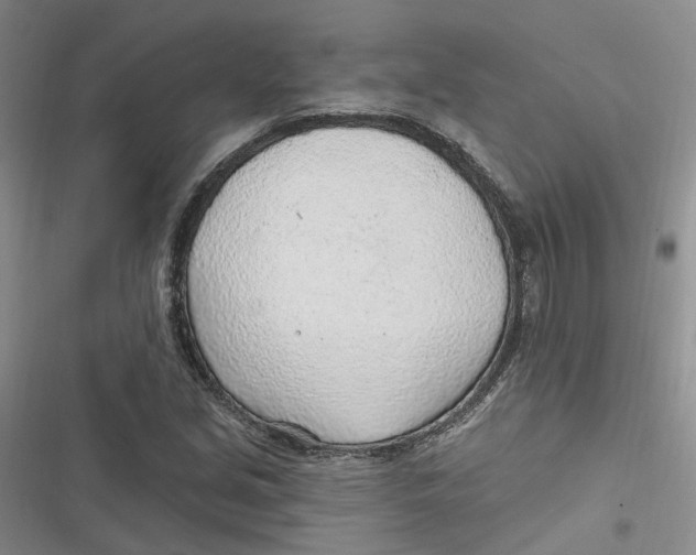 X0000116891213201001121336