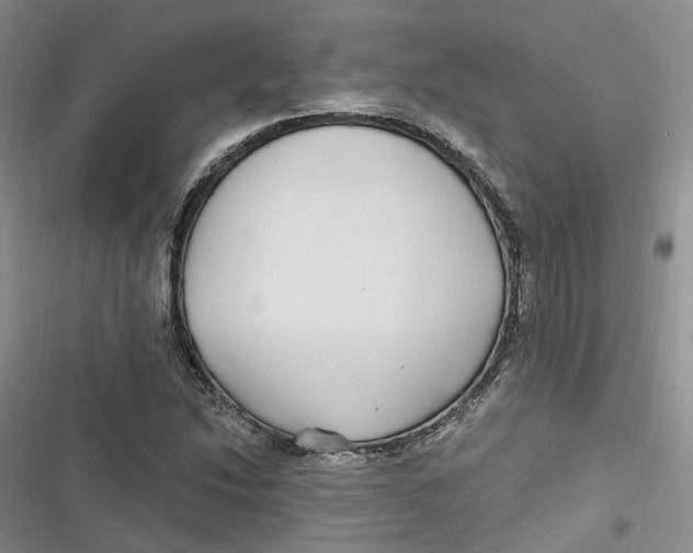 X0000116891214201001121336