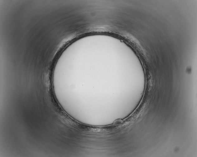 X0000116891218201001121336