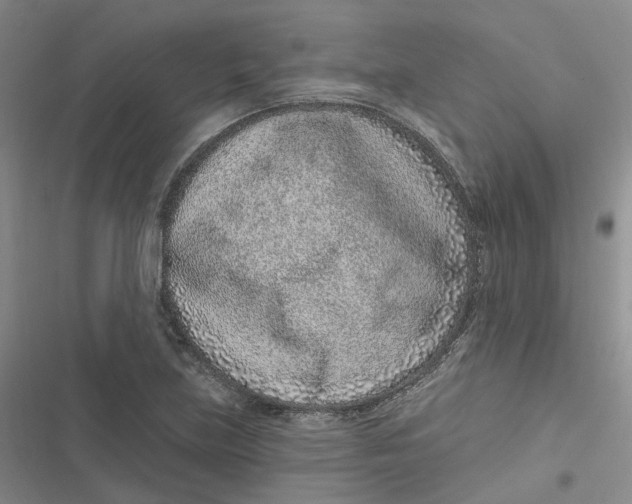 X0000116891219201001121336