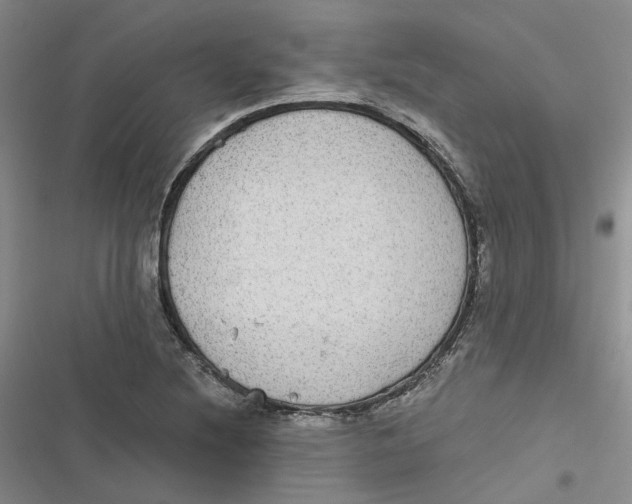 X0000116891220201001121336