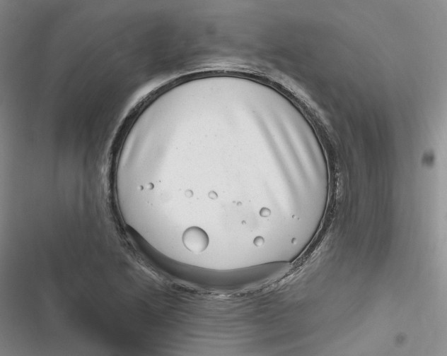 X0000116891222201001121336