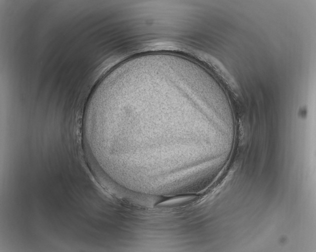 X0000116891225201001121336