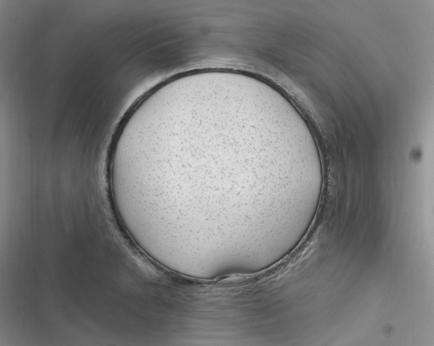 X0000116891230201001121336