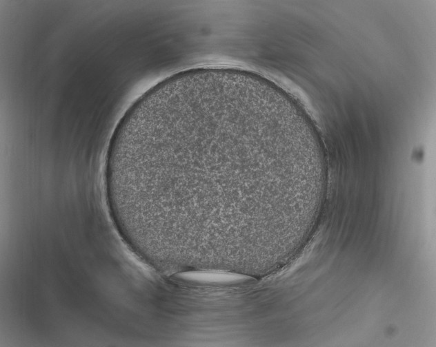 X0000116891231201001121337