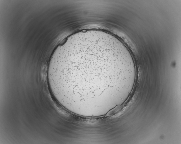 X0000116891233201001121337