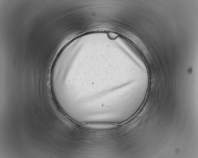 X0000116891234201001121337